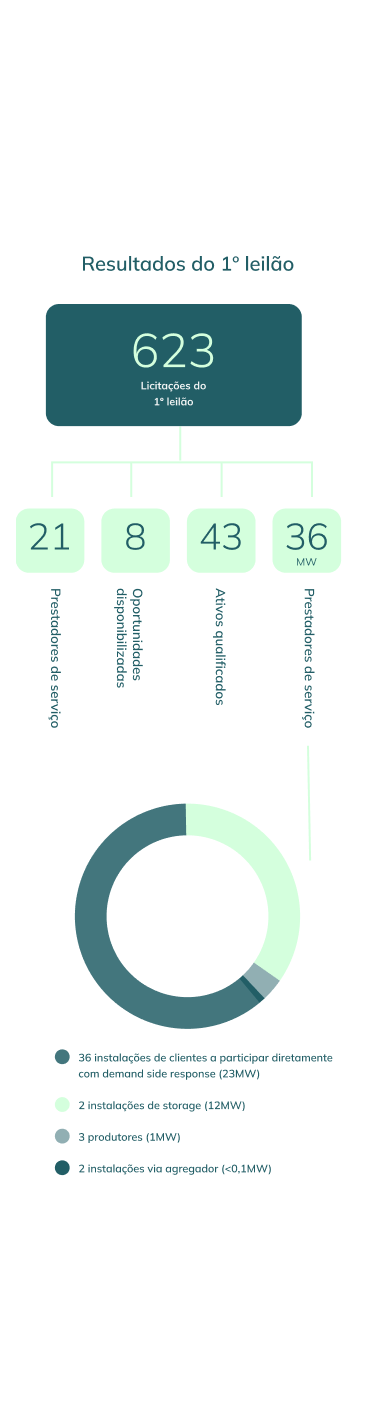 623 licitações no primeiro leilão