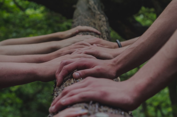hands