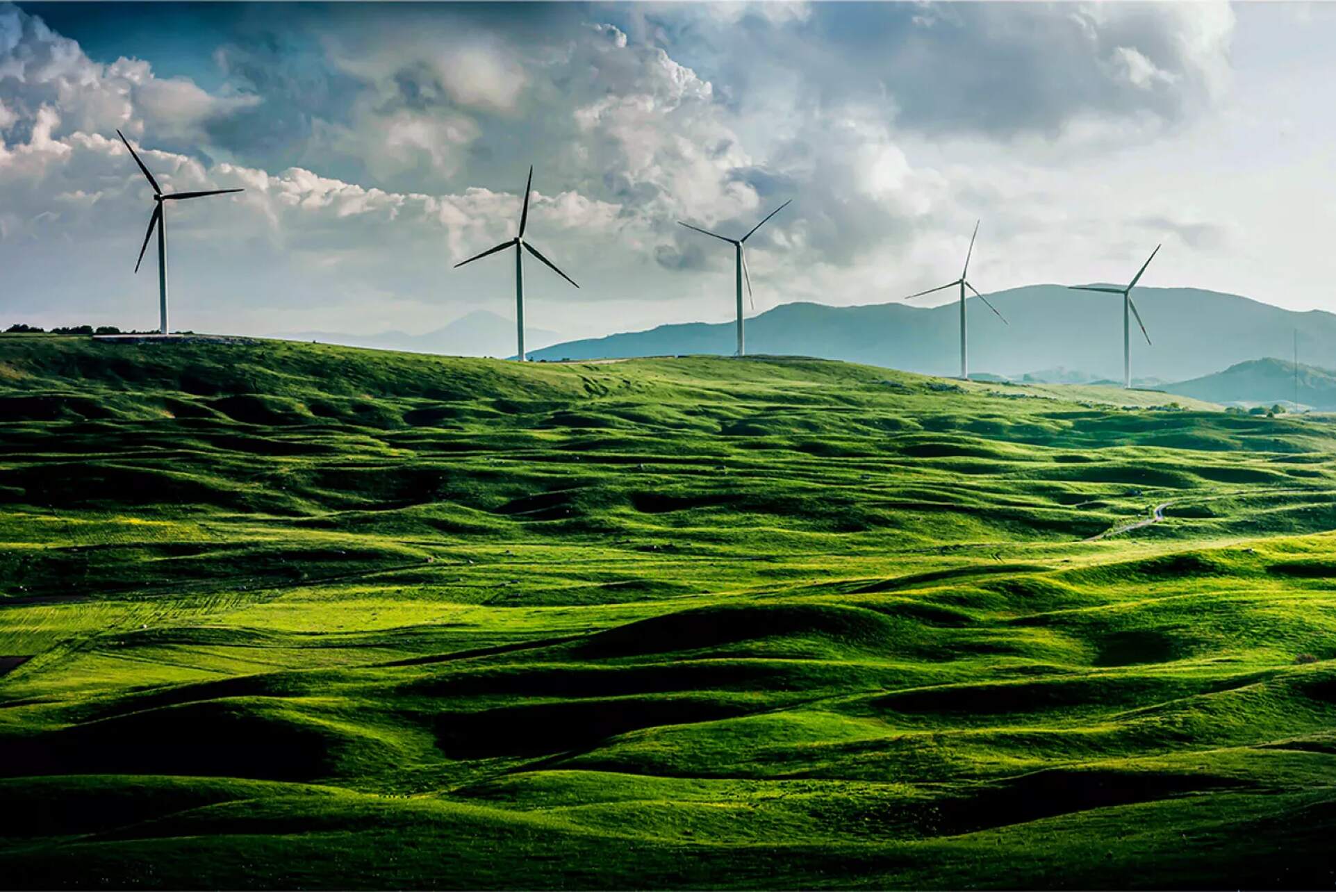 wind green farm