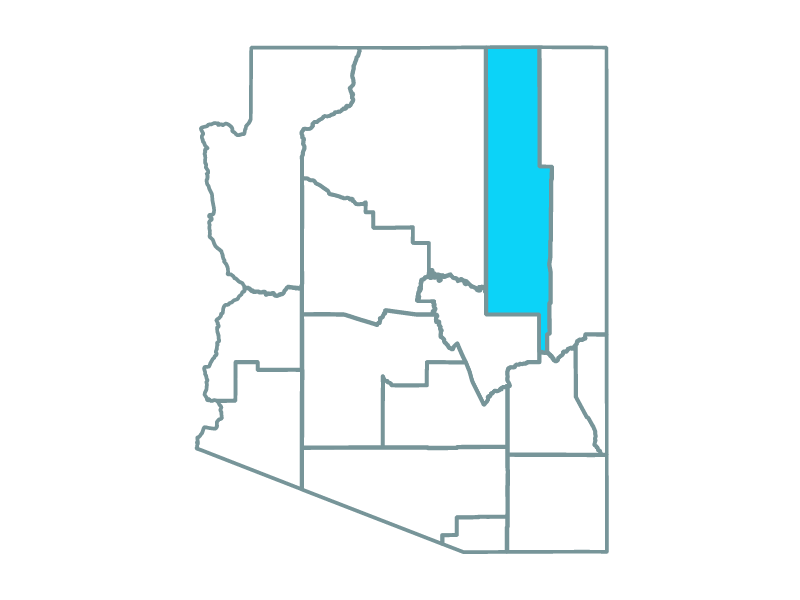 Map showing Navajo County in Arizona where the Winding Canyon project is located.