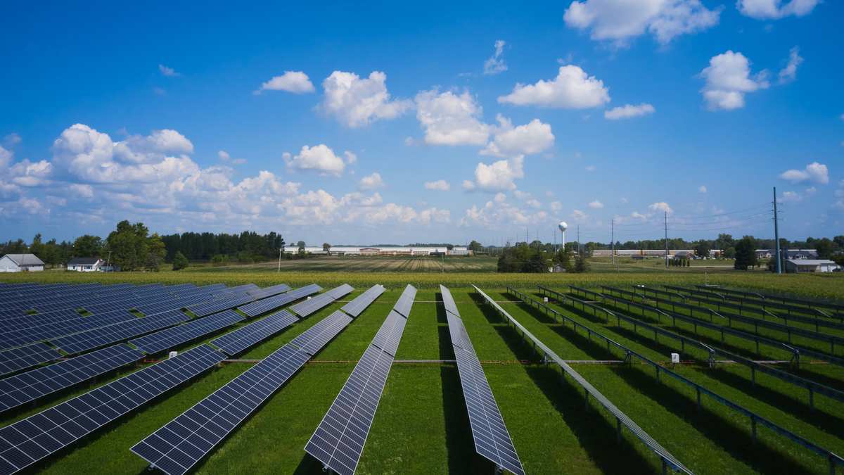 Solar panels at Blue Harvest Solar in Ohio