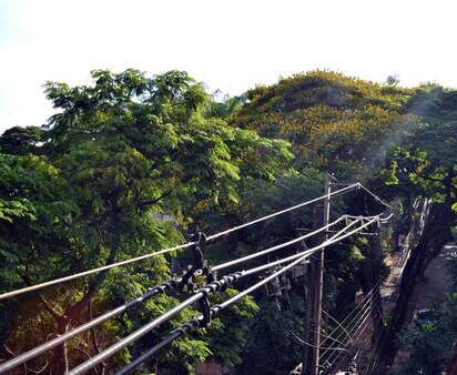 Illustrative image of Digitalisation and AI