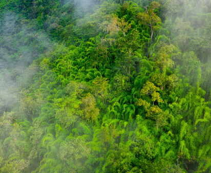 Illustrative image of Nature-based solutions