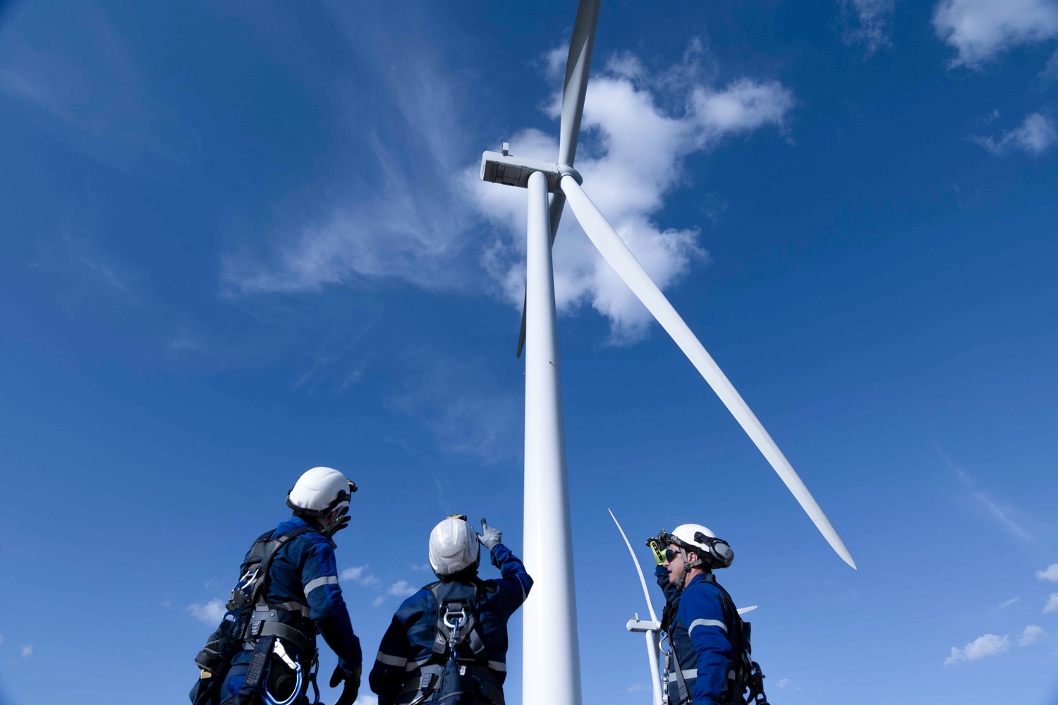 Skills Professionals Wind