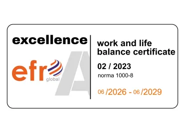 efr Excellence certificate