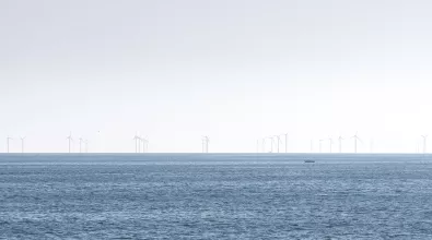 Oceandt.jpg