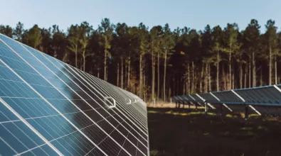 sc_solarpark_2018-140.jpg sc_solarpark_2018-140.jpg