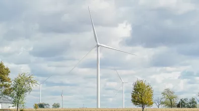 wind_turbine_field.jpg