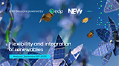 Flexibility-and-integration-of-renewables image