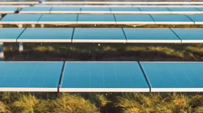 harvest_solar_banner_web.jpg