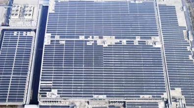 rooftops covered with solar panels