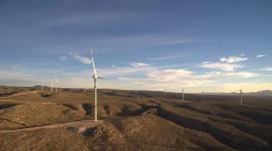 mexico wind farm