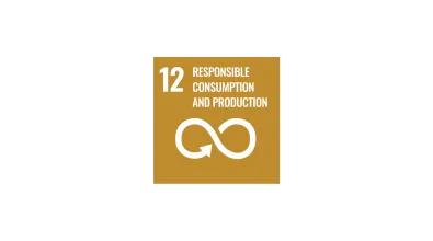 12 - responsible consumption and production.