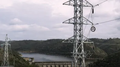 DRI_Results.16.9_clean