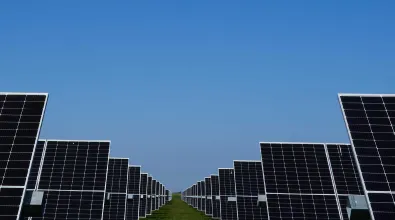 Cypress Knee Solar