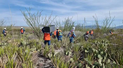 Image of EDPR NA's rescue and relocation at Los Canones