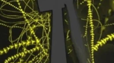 abstract illustration featuring dark vertical shapes surrounded by glowing yellow lines resembling filaments or moving particles against a dark background