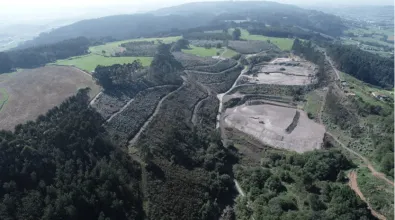 Muniello landfield