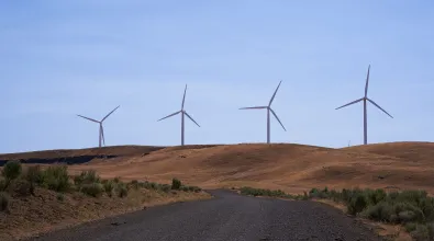 Wind turbines and surrounding landscape at Big River Renewable Energy site