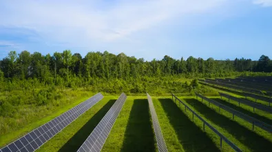 multiple panels on grass