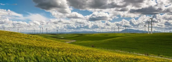 wind-farm-1209784_1280.jpg