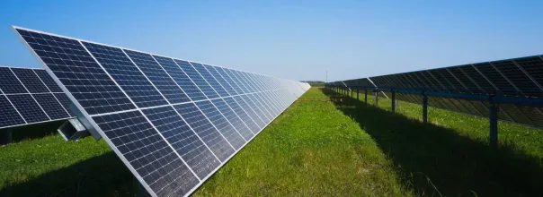 Blue Harvest Solar Panel