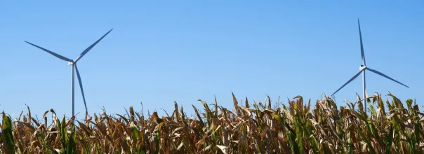 harvest ridge wind farm