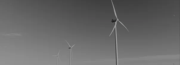 windpage-lasthighlight-bw