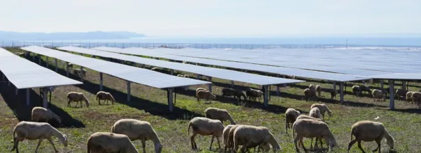 Monti di Eboli Agri PV Plant
