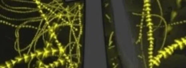 abstract illustration featuring dark vertical shapes surrounded by glowing yellow lines resembling filaments or moving particles against a dark background