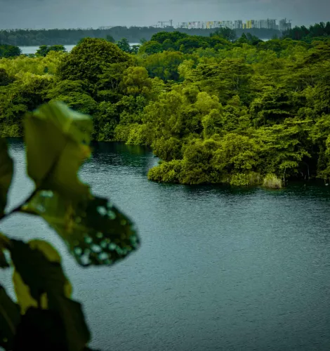 pulau ubin