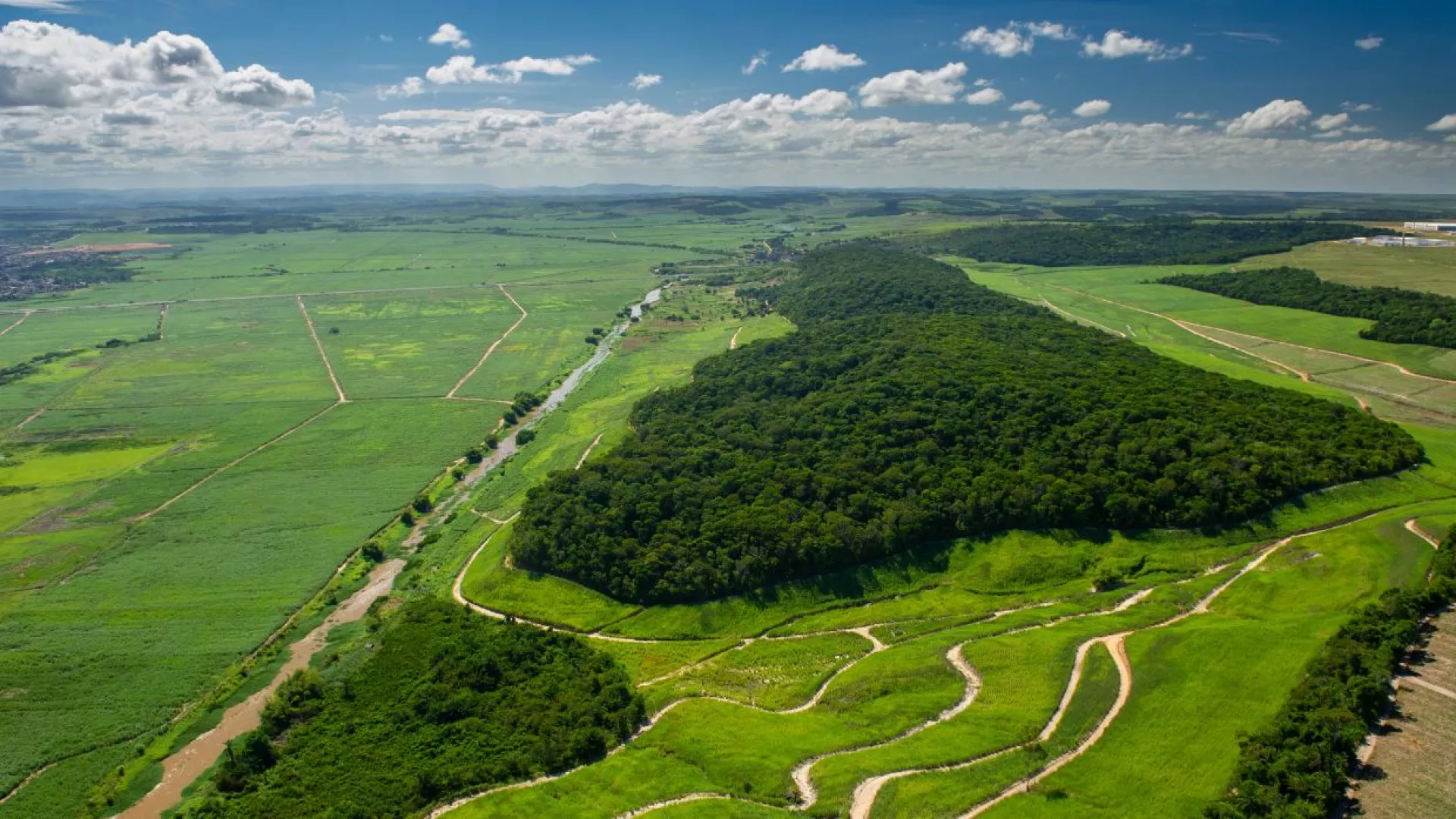 Agroforest%20of%20the%20future.jpg Agroforest%20of%20the%20future.jpg