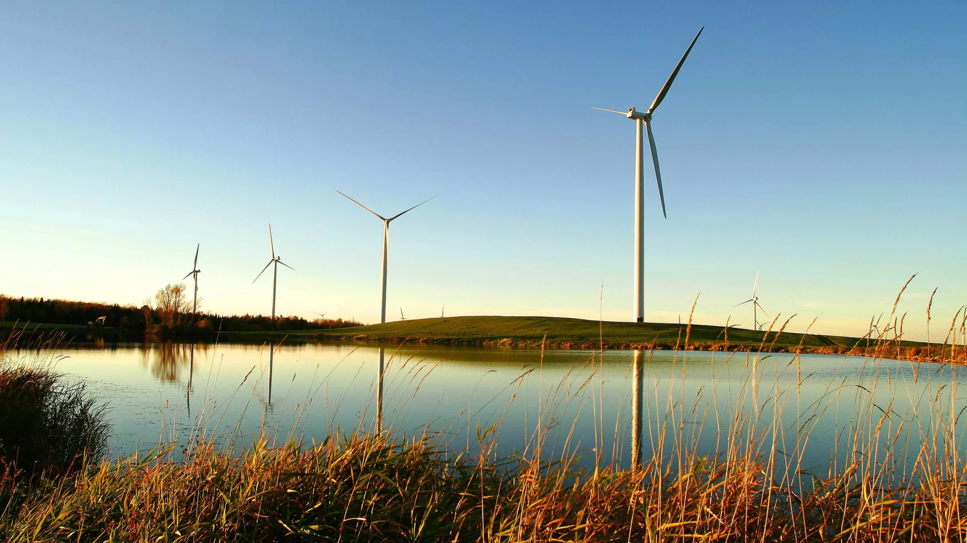 windfarm_marple_ridge_.jpg