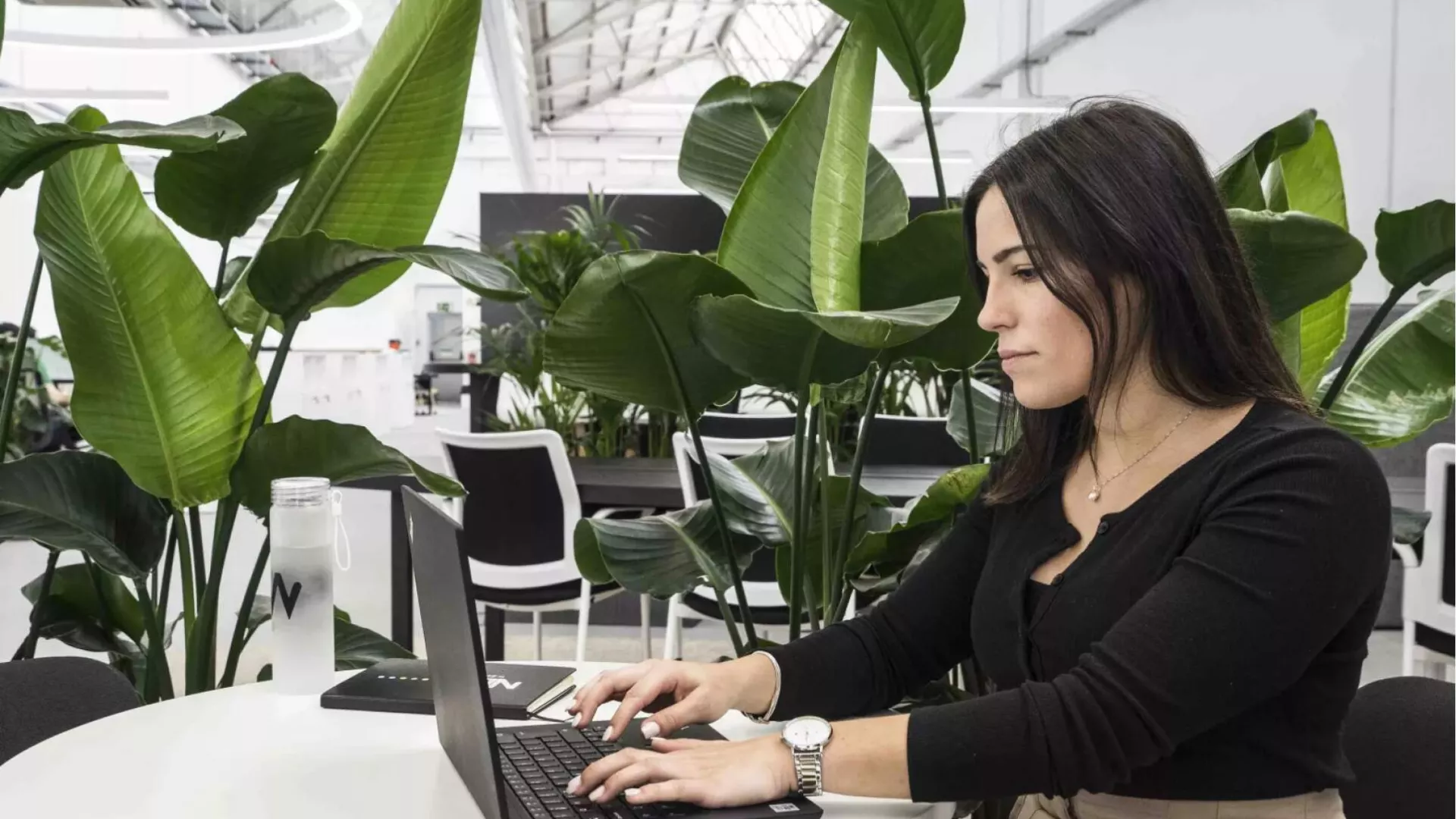Employee working on a computer sitting at the desk in the office with plants as background
