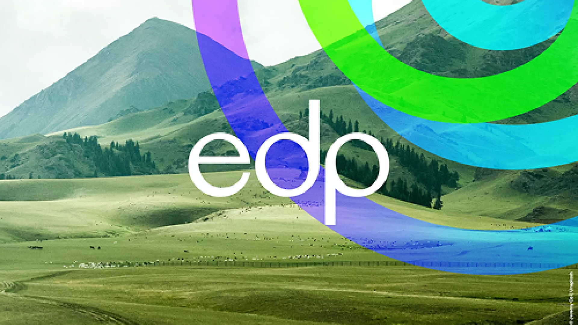 edp logo