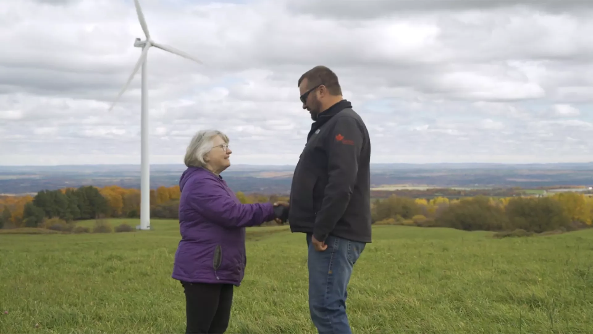 Renewable-Energy-NY.jpg