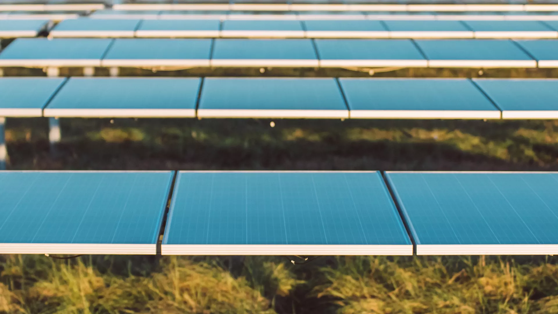 harvest_solar_banner_web.jpg