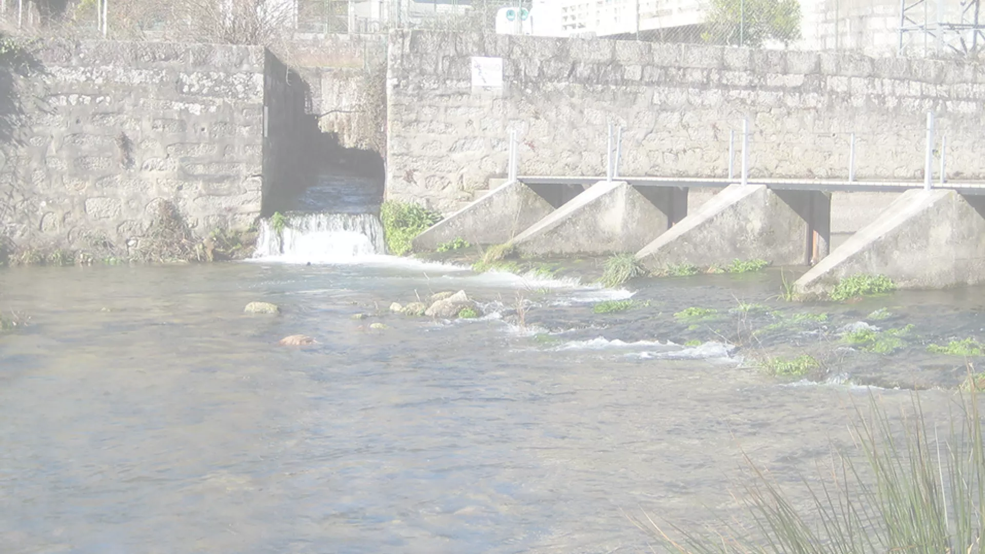 header-ponte-da-esperanca.png