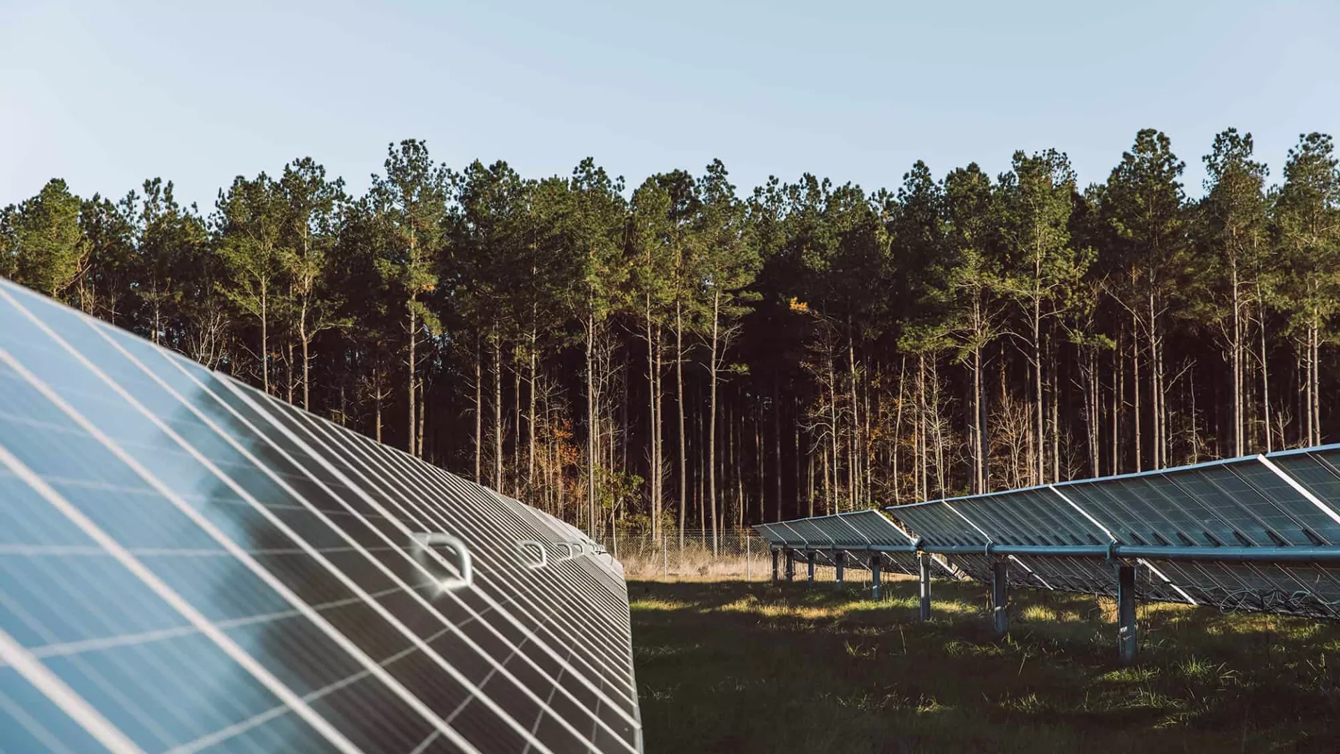 sc_solarpark_2018-141-1.jpg