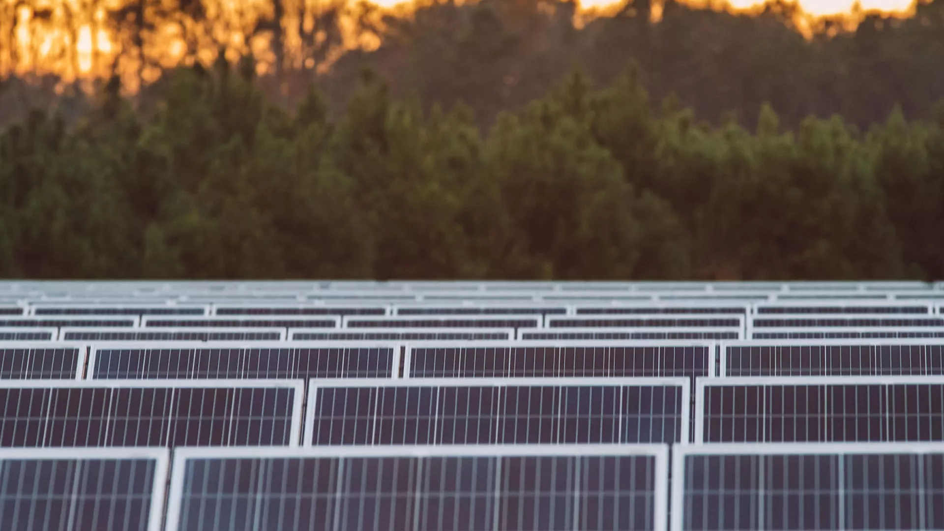 solar_banner_rows2_web.jpg