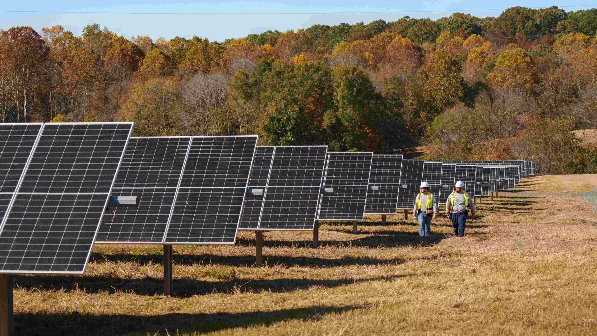 Ragsdale%20Solar%20Park_Annoucement_web.jpg Ragsdale%20Solar%20Park_Annoucement_web.jpg