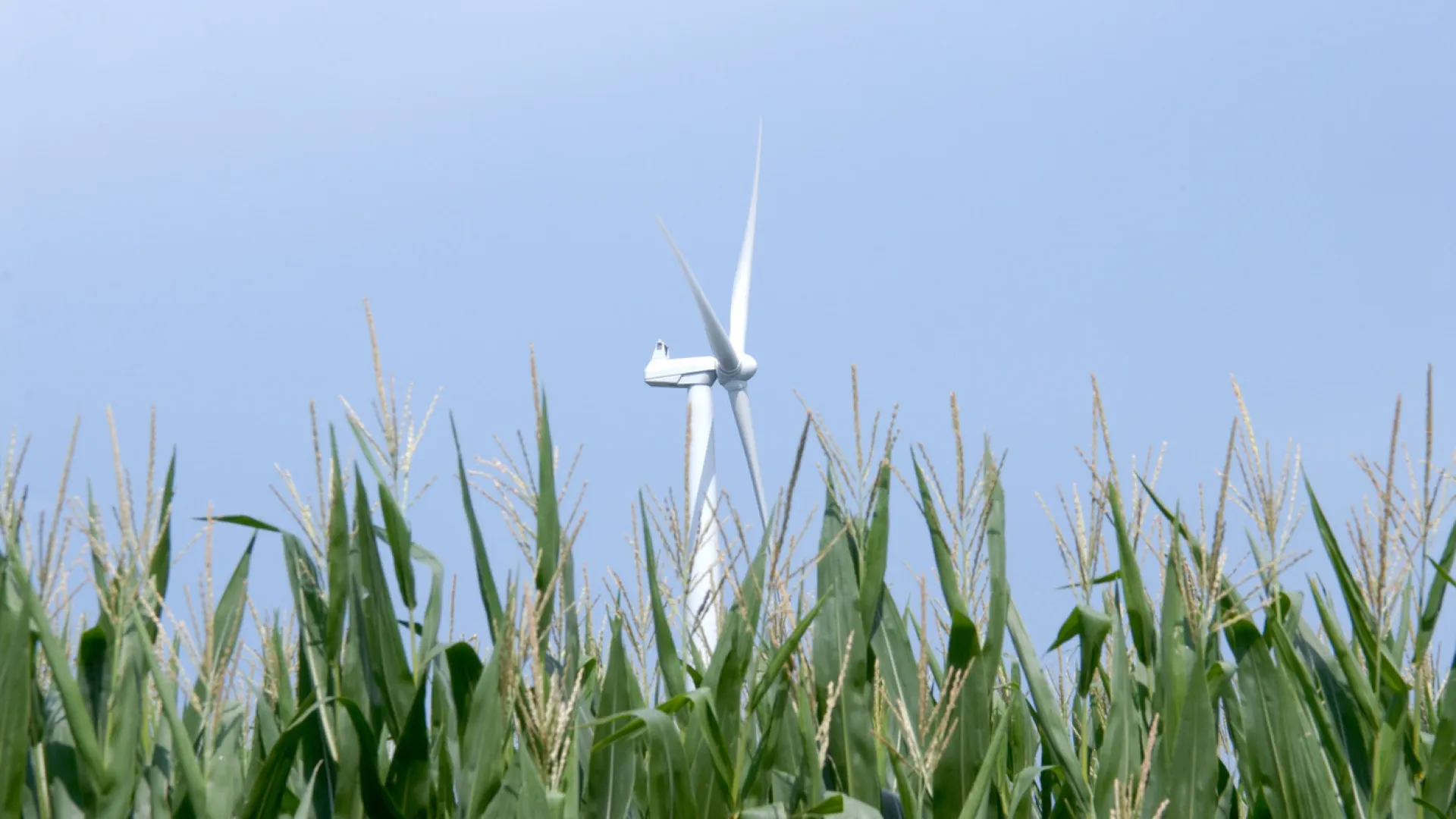 twin groves wind farm