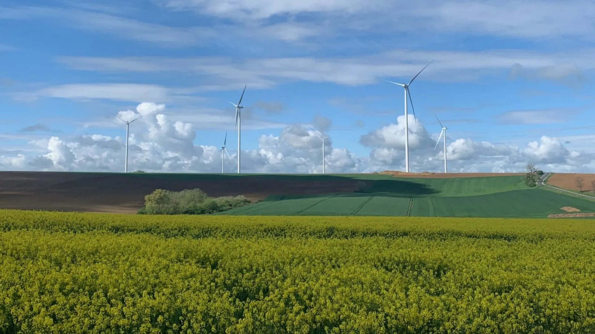 wind farm in France 