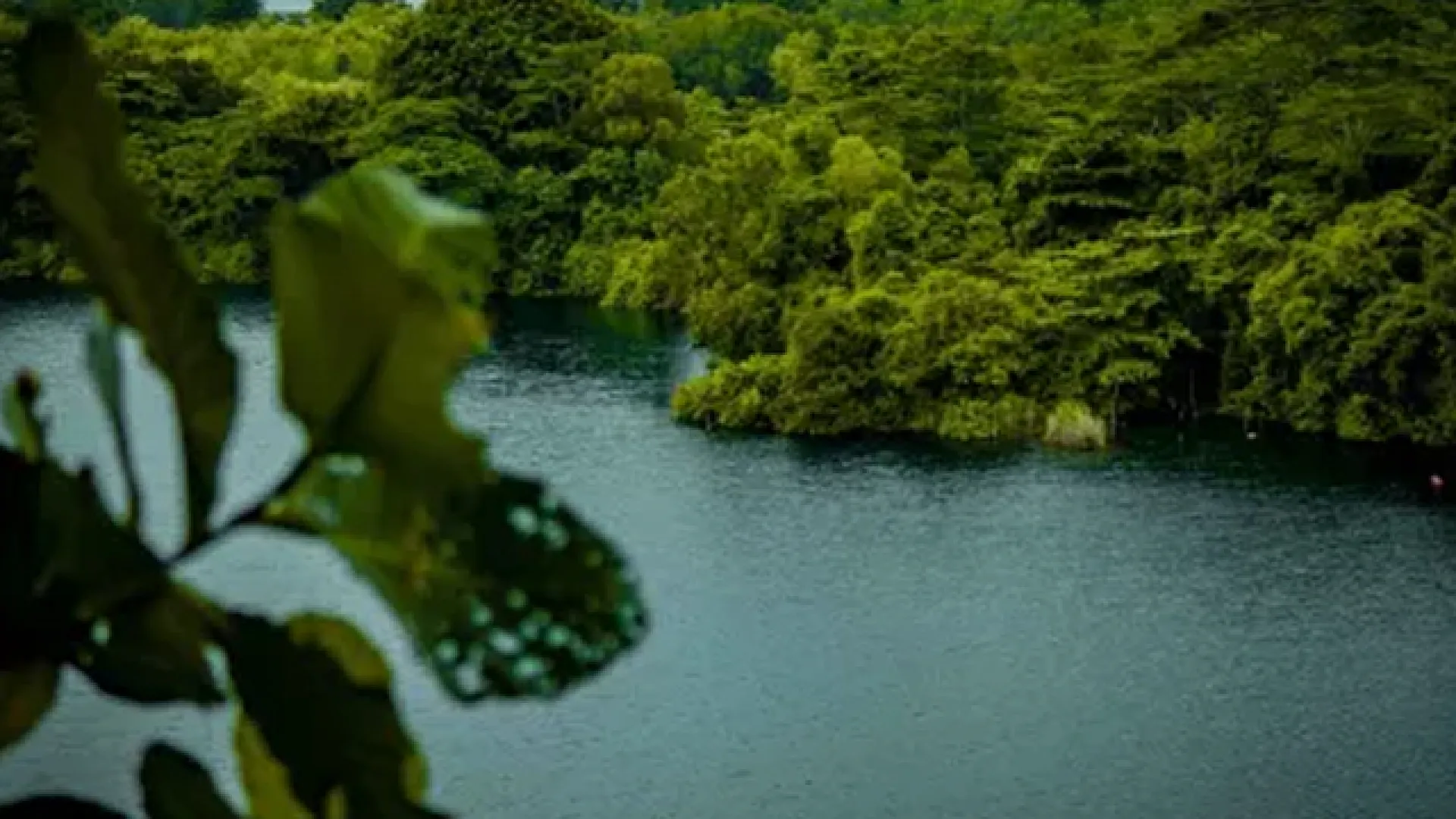 EDP_nature_lake