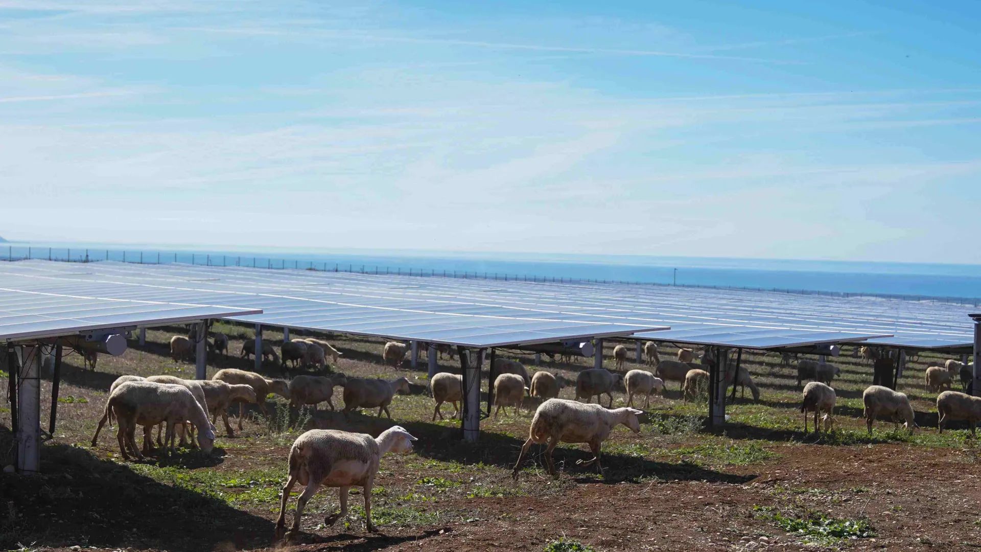 Monti di Eboli in Italy 