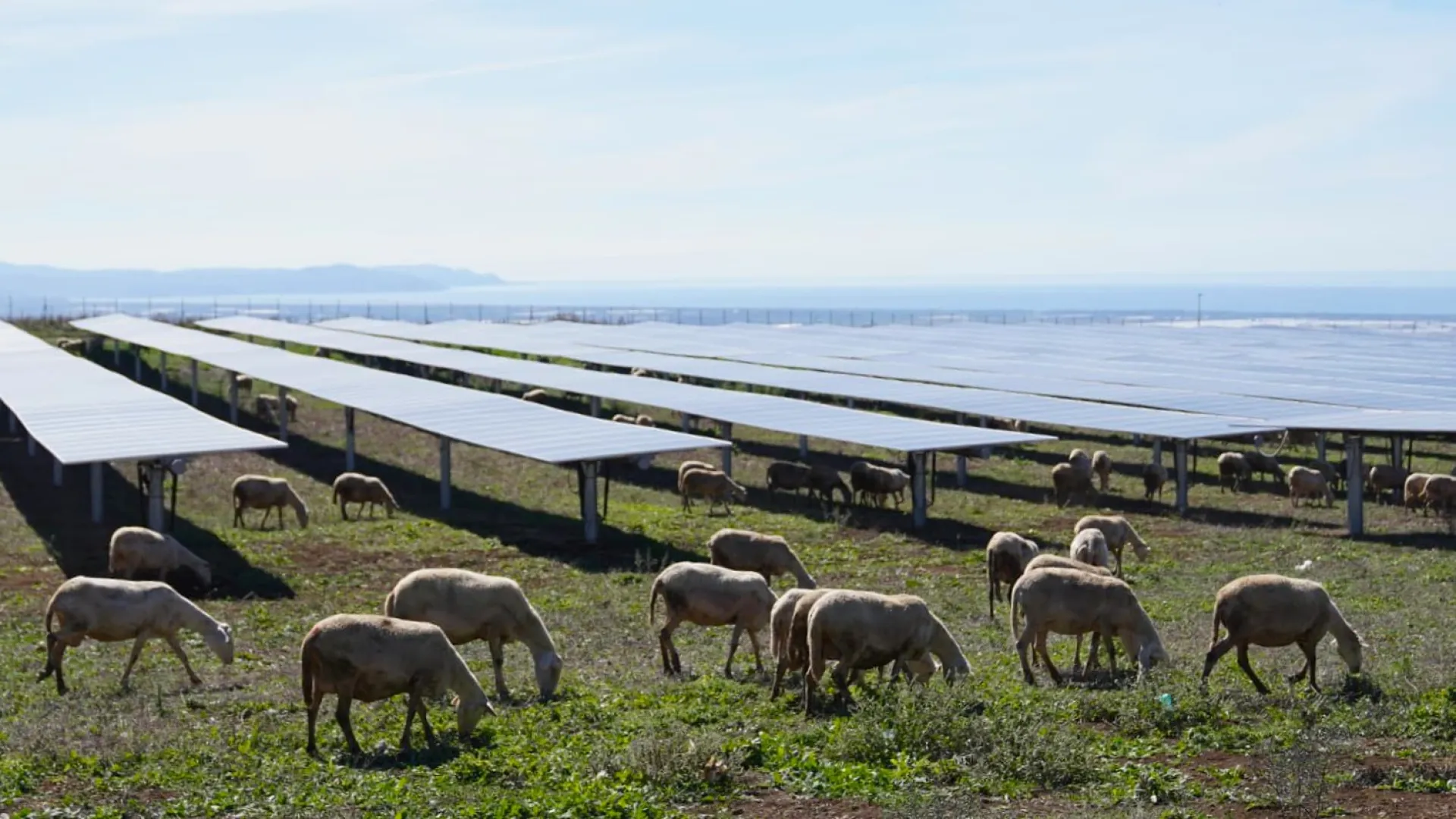 Monti di Eboli Agri PV Plant