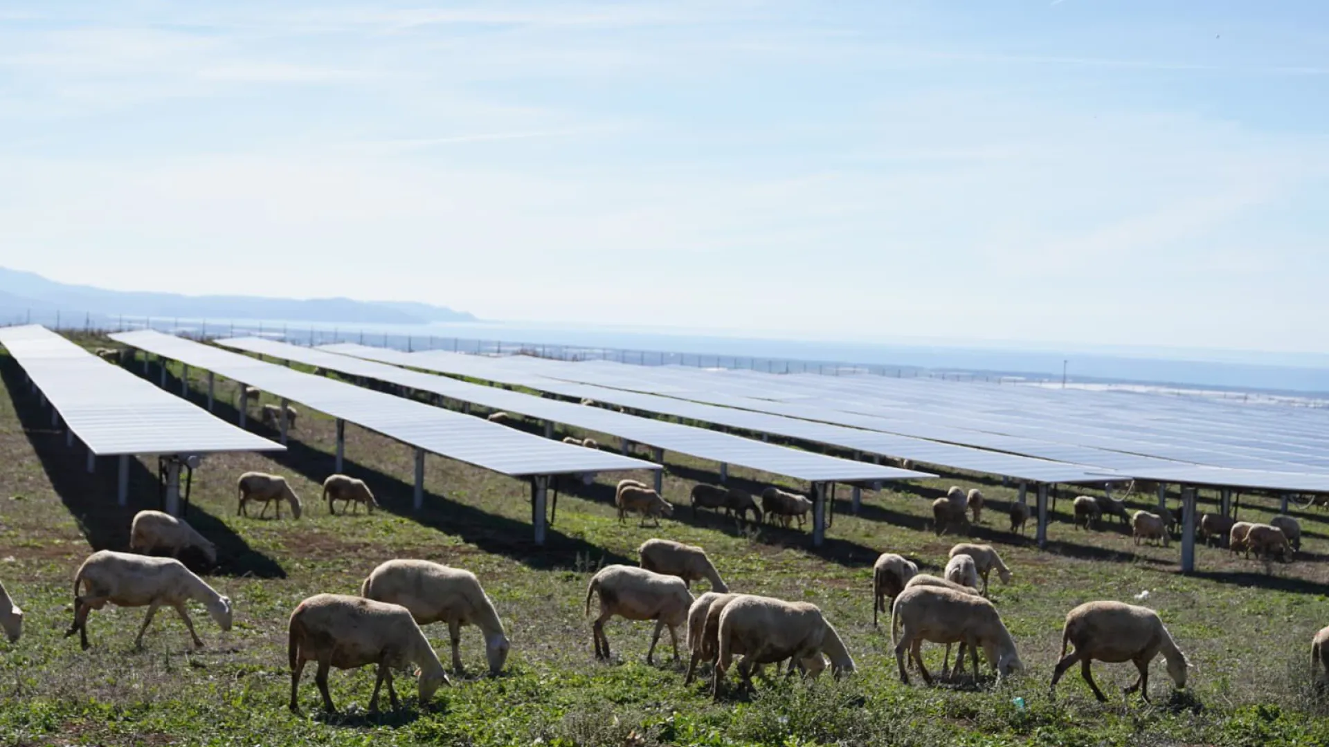 Monti di Eboli Agri PV Plant