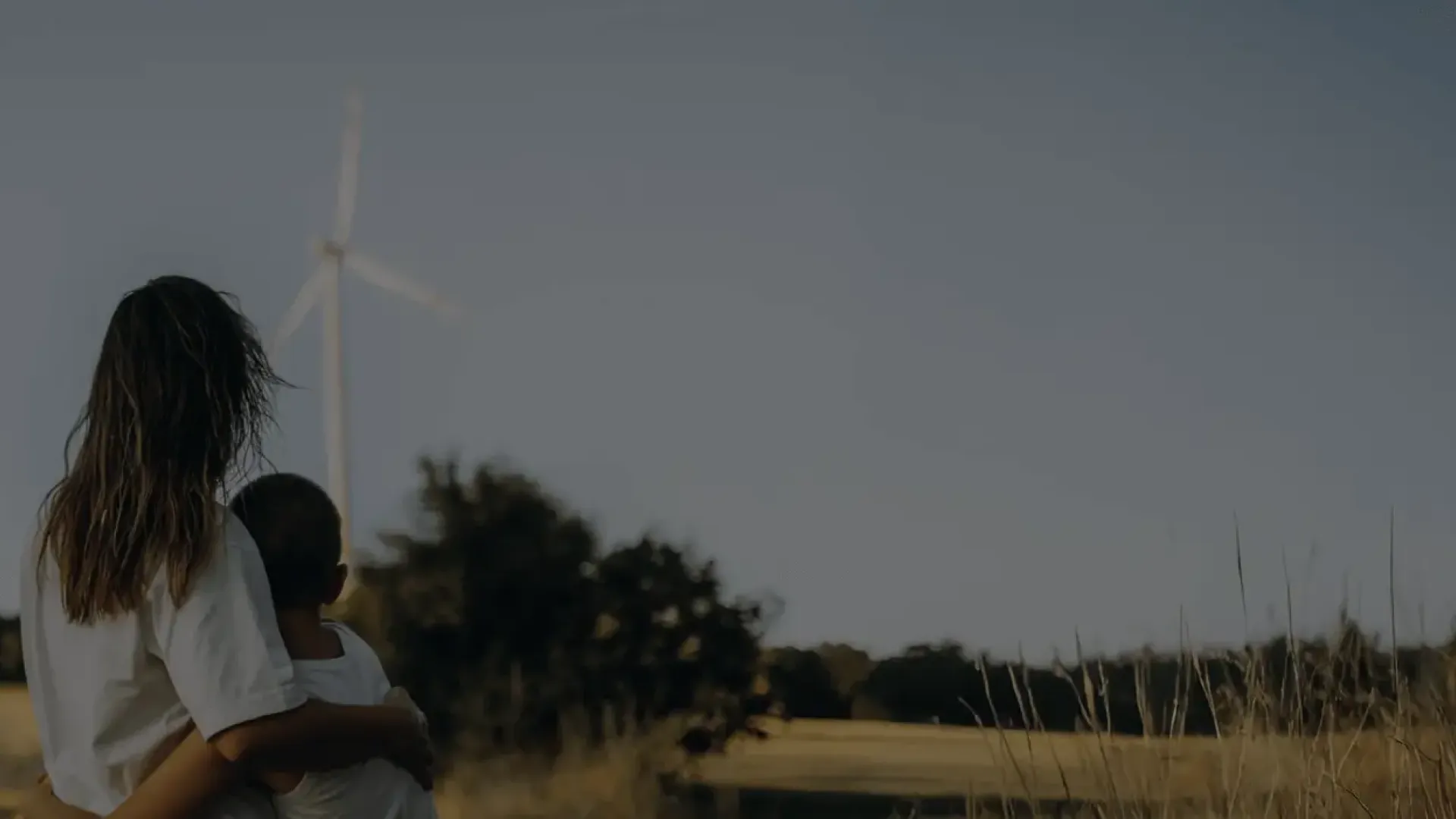 50 anos campanha header