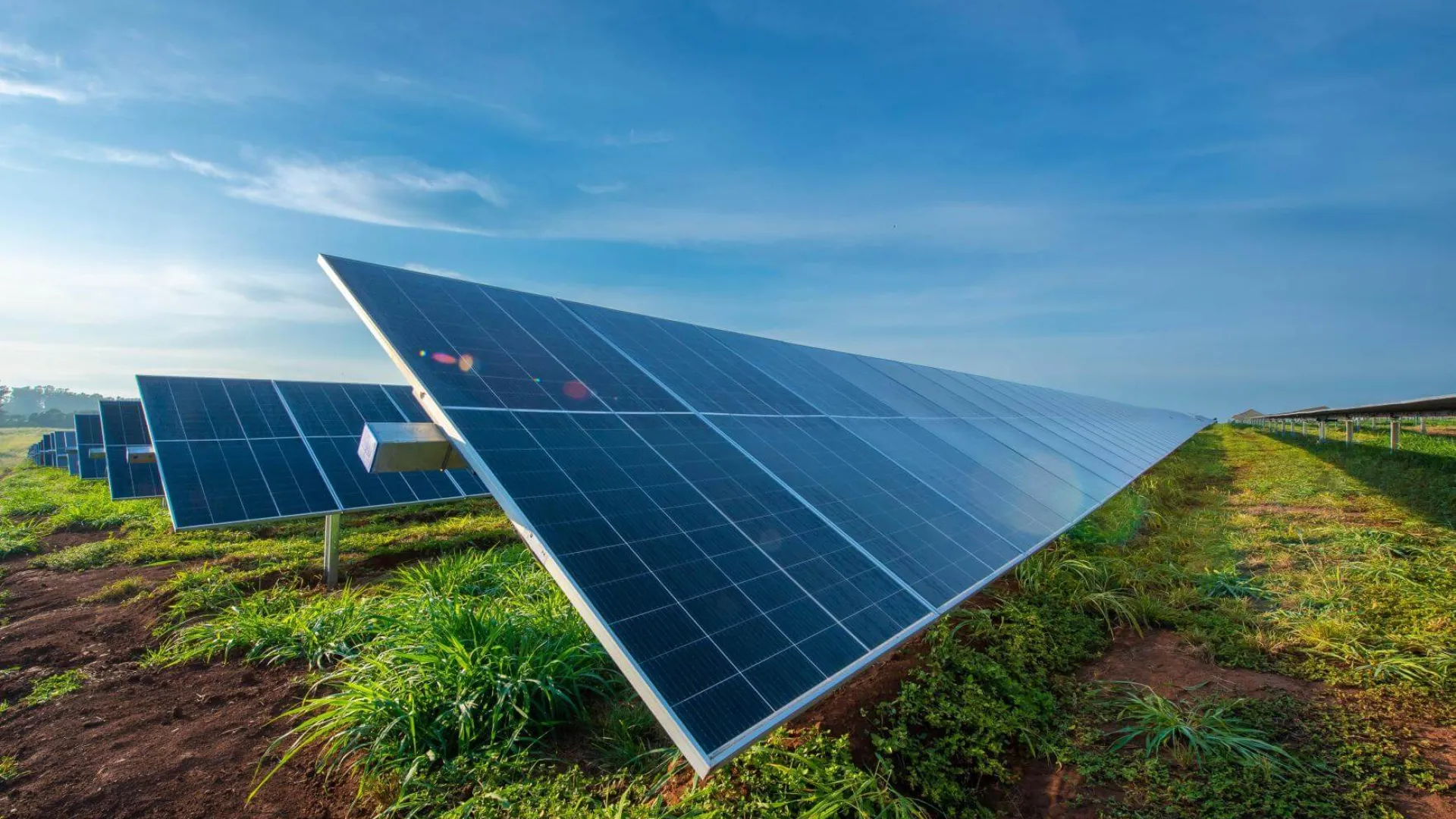 PPA Motoyoshi Project