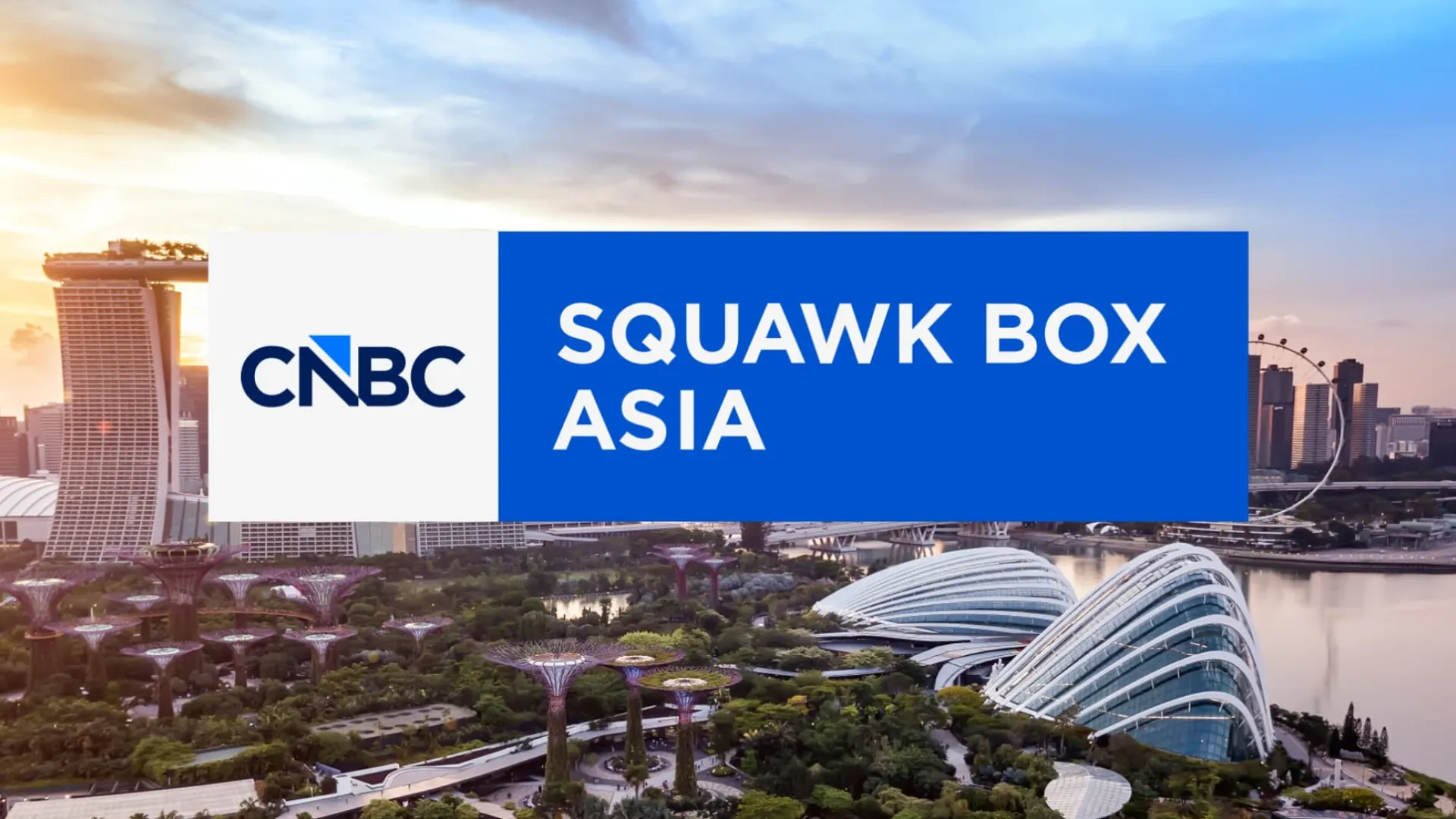 CNBC Squawk Box Asia